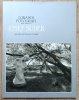 Josef Sudek: I Grandi Fotografi, Serie Argento
